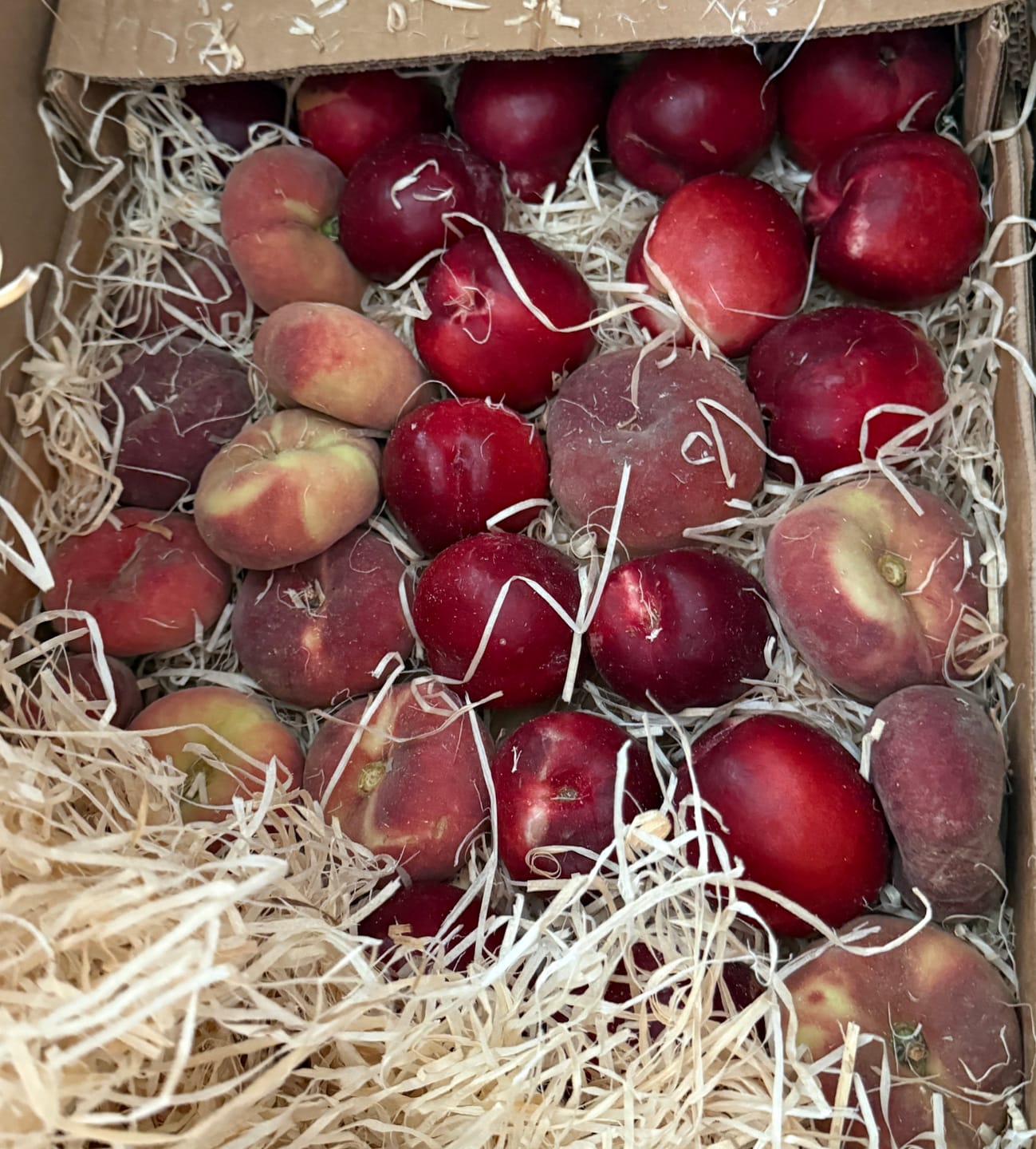 Customer photo review of Pfirsich & Nektarinen Bio von Jordi Retterbox 3kg