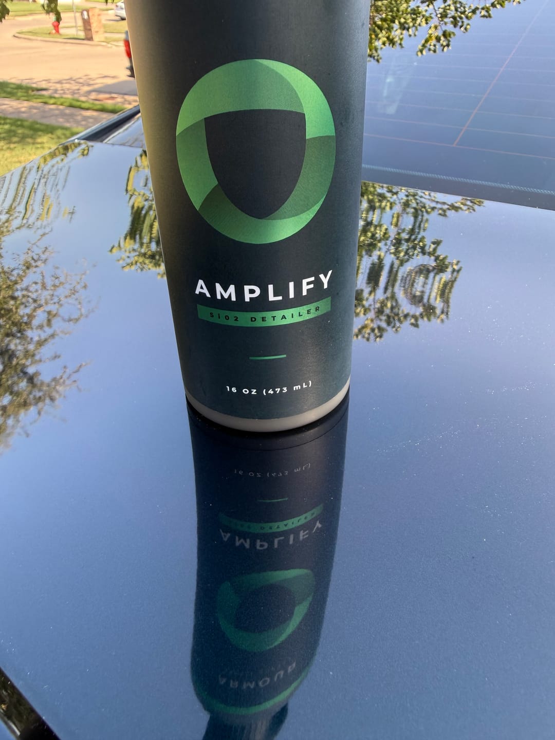Customer photo review of AMPLIFY - Detail Spray