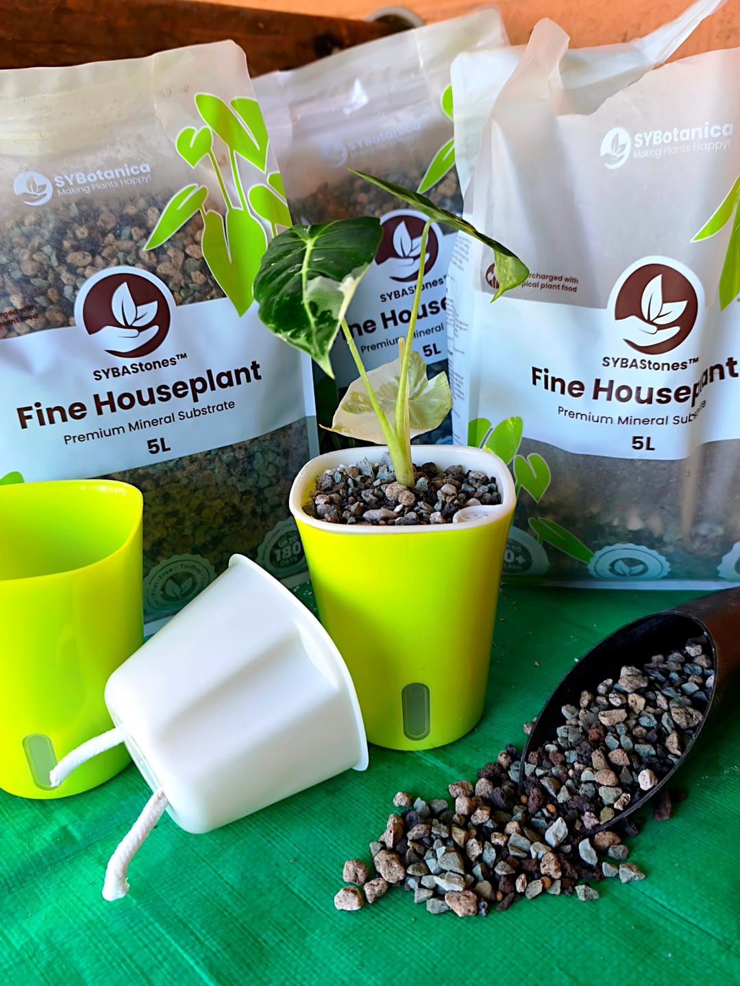 Customer photo review of Fine Houseplant Mineral Mix