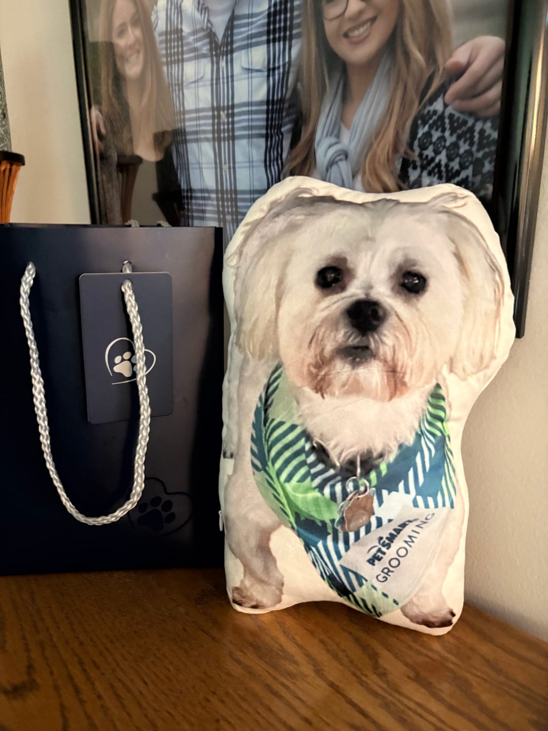Customer photo review of Custom Pet Shaped Pillow that Look Like your Pet - ThePetPillow