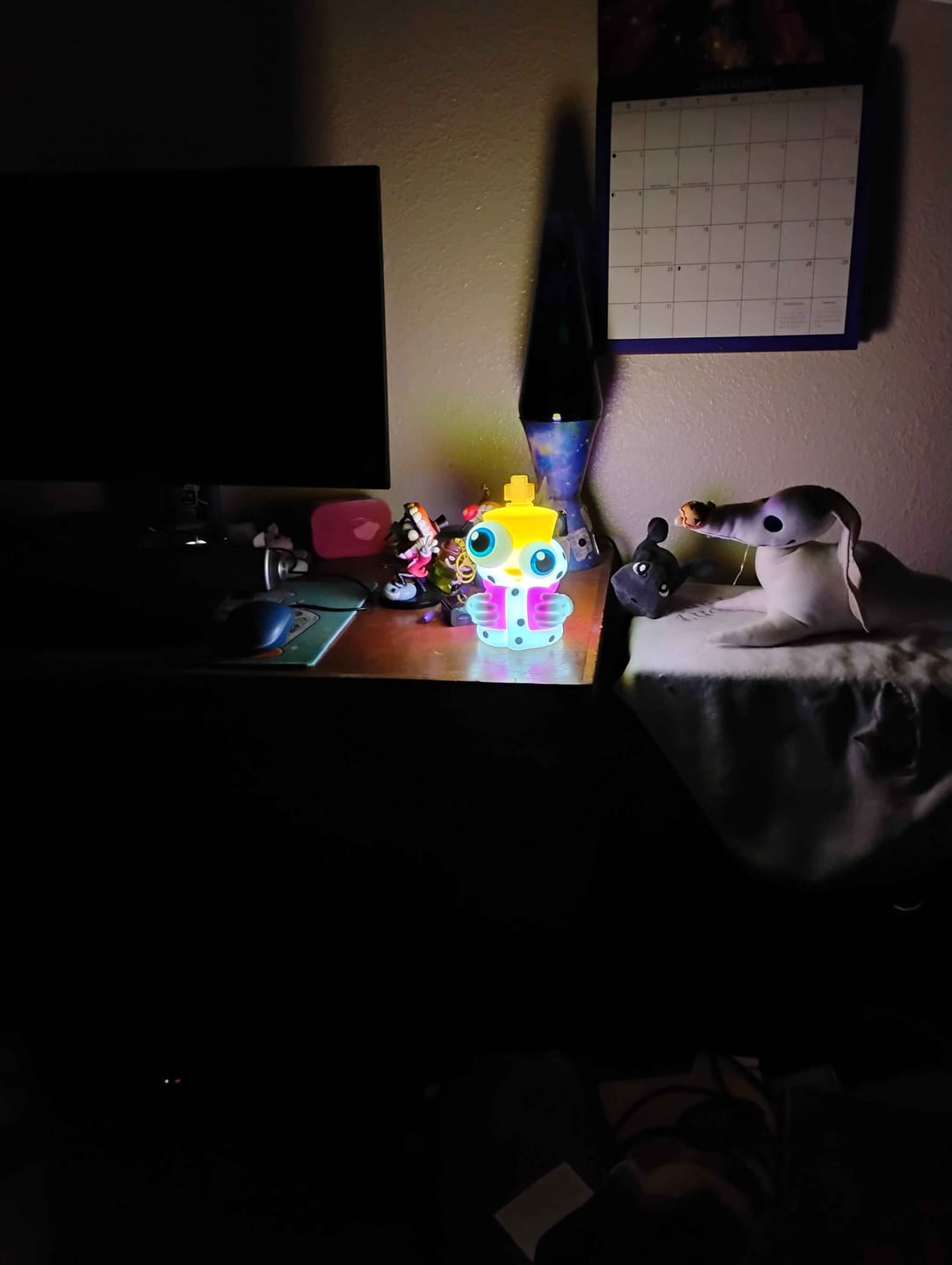 Customer photo review of Kinger Lamp