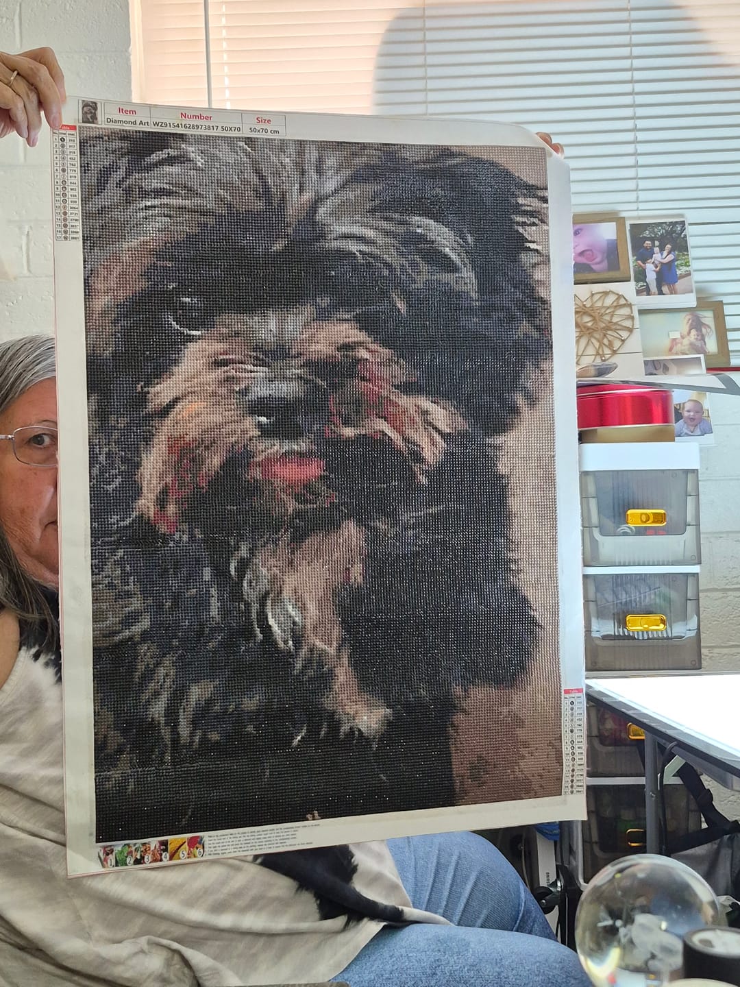Customer photo review of Diamond Painting - Surprise Picture