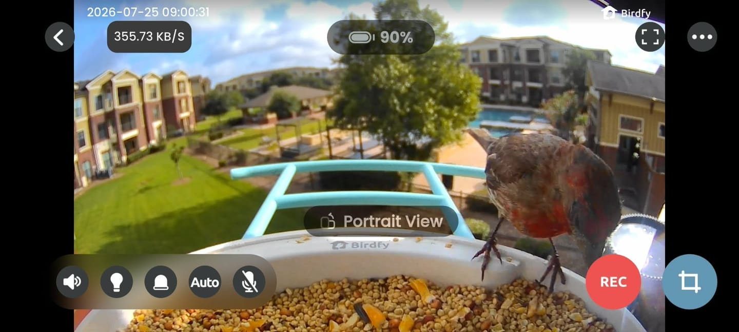 Customer photo review of Birdfy Feeder with Solar Panel - Solar-Powered Smart Bird Feeder with Camera