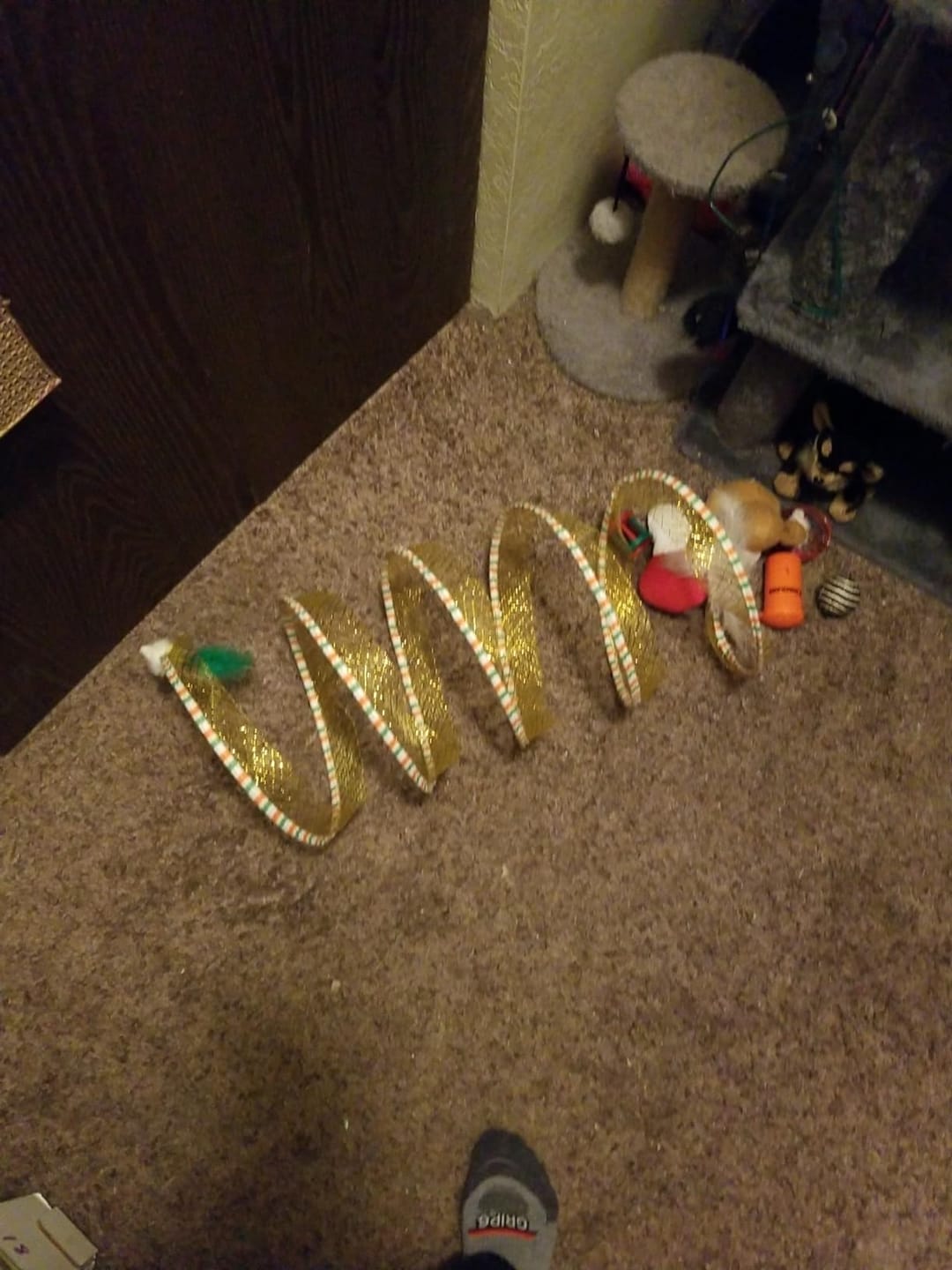 Customer photo review of Coil Chase™ Foldable Spiral Cat Toy