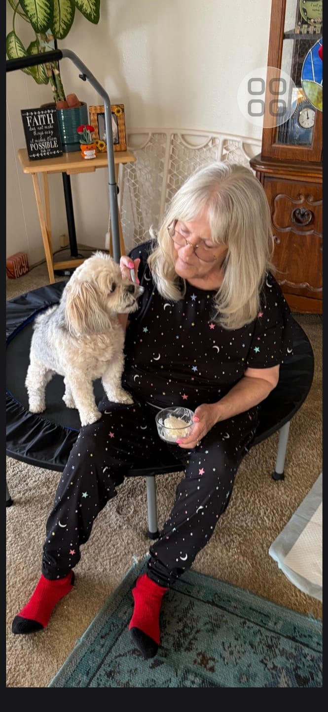 Customer photo review of 6 Inch Standard Bully Stick