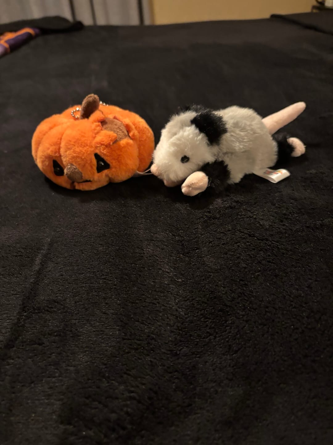 Customer photo review of Forgotten Peter the Opossum