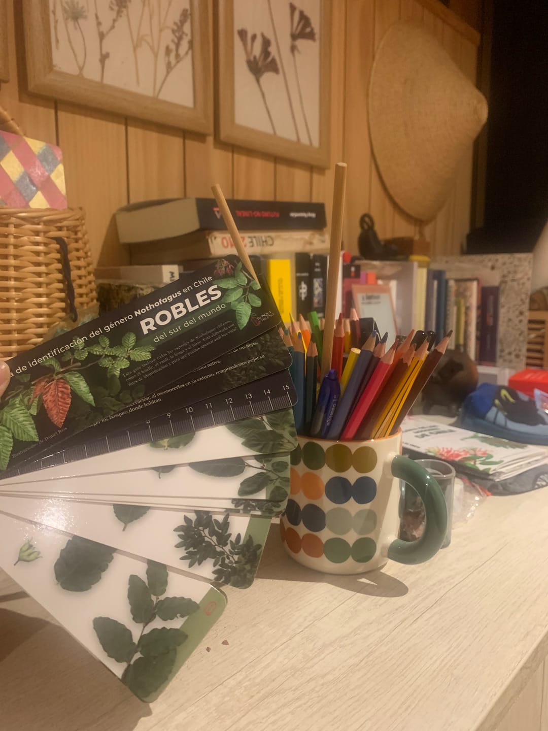 Customer photo review of Pantonera Robles del sur del mundo - Guía de identificación del género Nothofagus en Chile