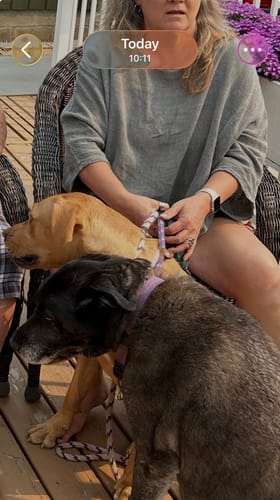 Reviewer sitting outdoors in the relaxed, charcoal Meo Linen Boxy Dolman Tee.