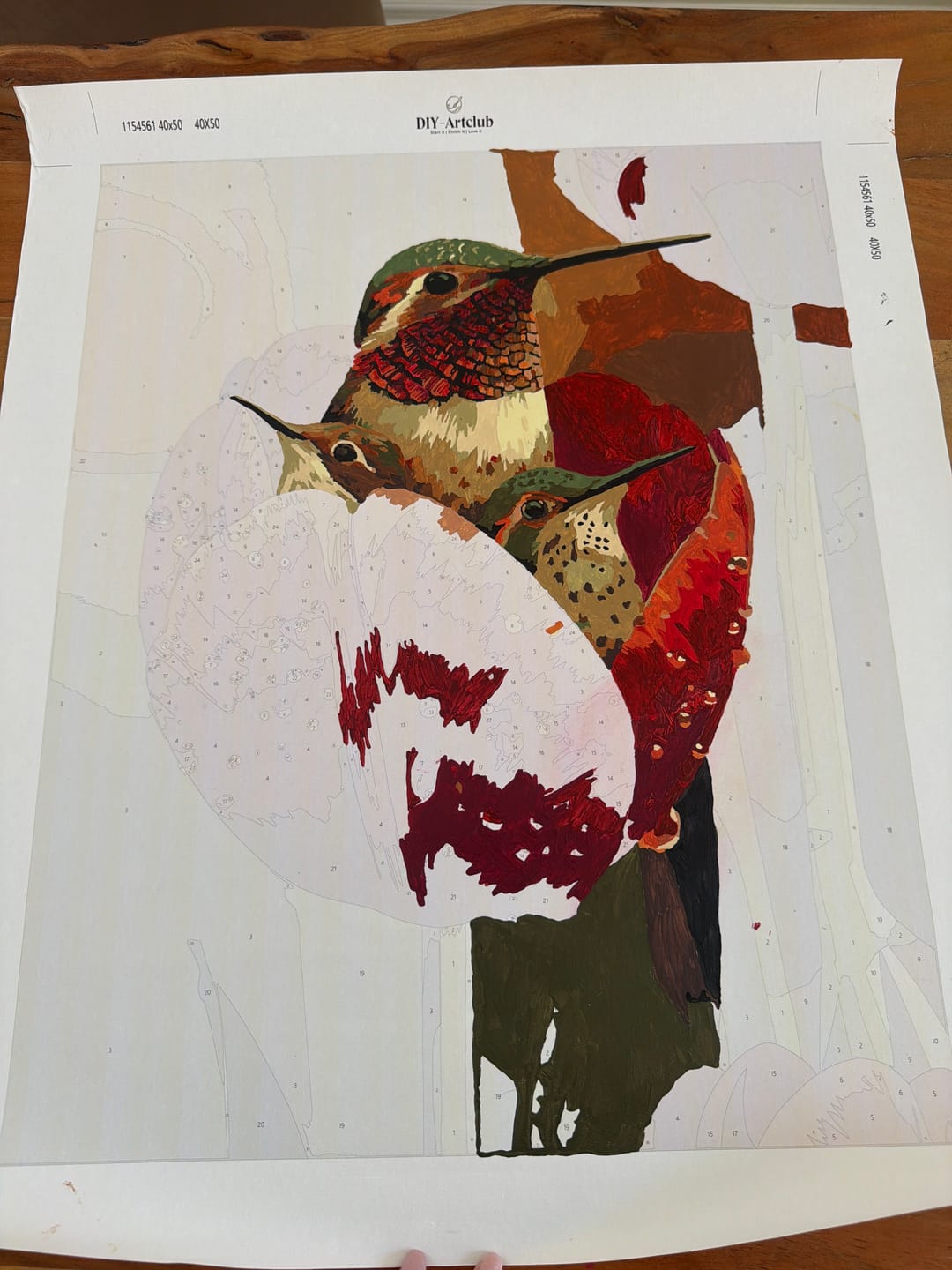 Customer photo review of Hummingbird Family | Paint by Number