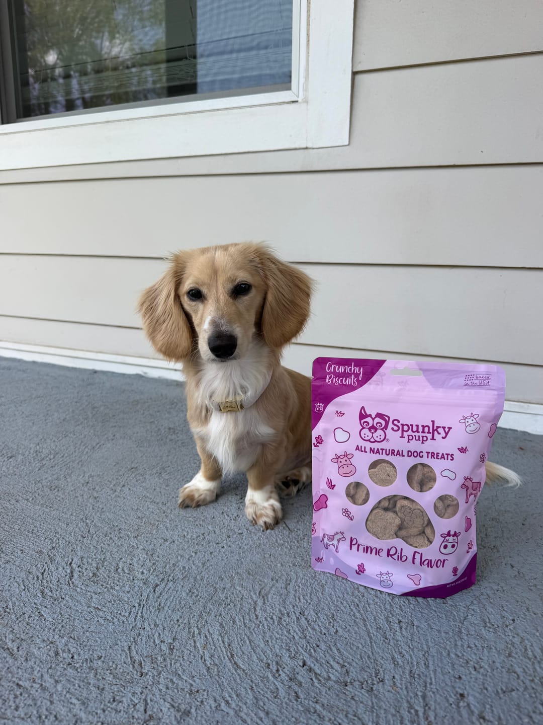 Customer photo review of All Natural Baked Biscuits - 10 oz