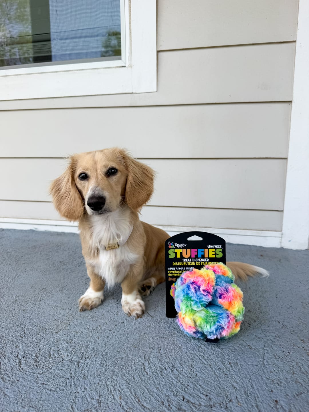 Customer photo review of Stuffies Treat Dispensing Plush Toys