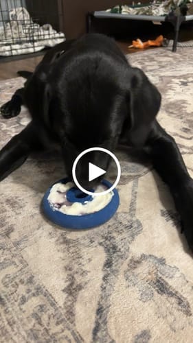 Customer photo review of Freez Doughnut - Super Durable Treat Toy