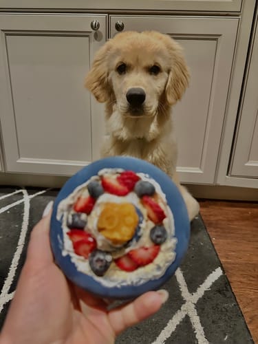 Customer photo review of Freez Doughnut - Super Durable Treat Toy