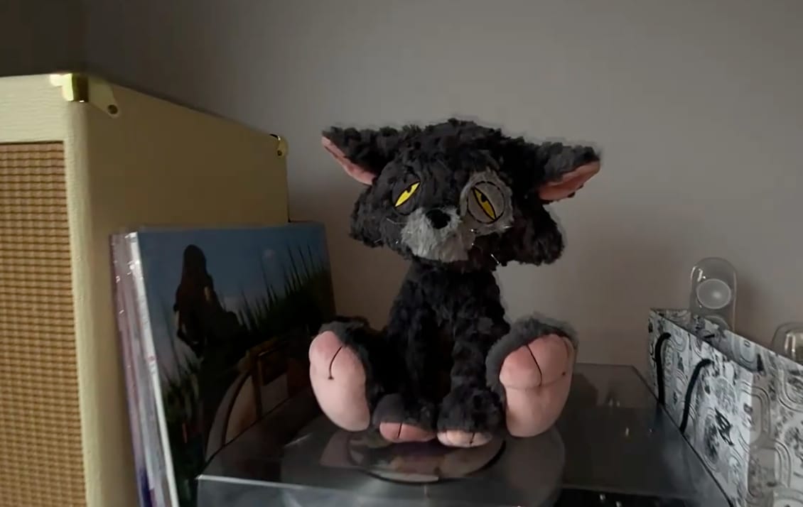 Customer photo review of Jeremy Cat