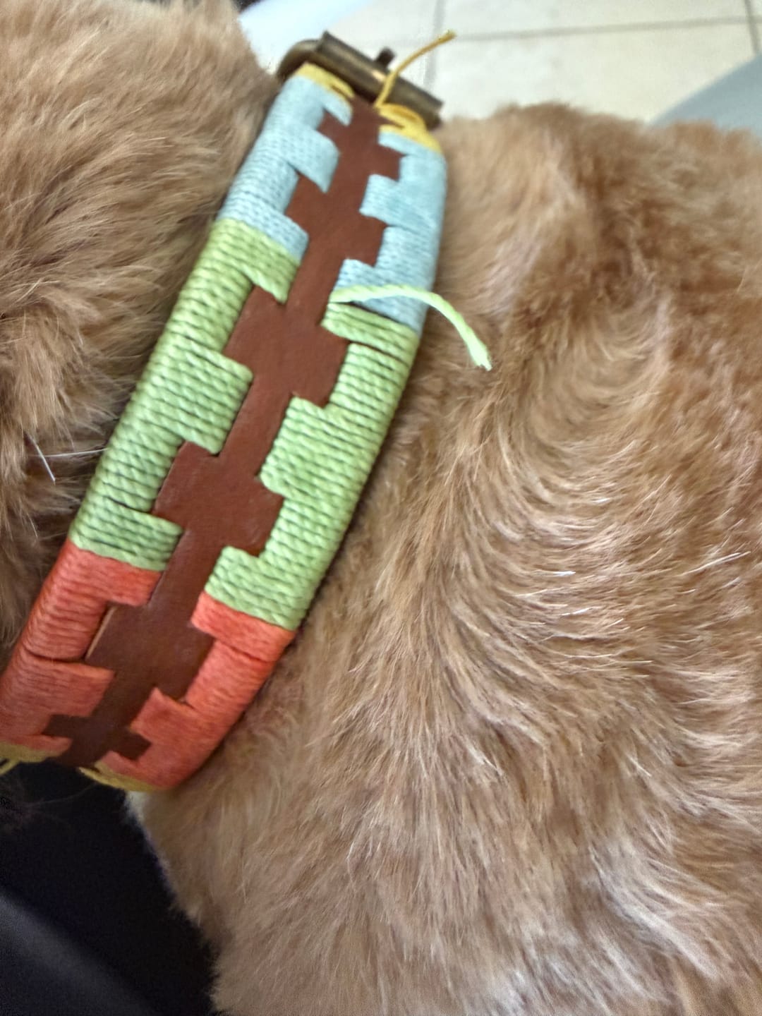 Customer photo review of Embroidered Leather Dog Collar (Summer)
