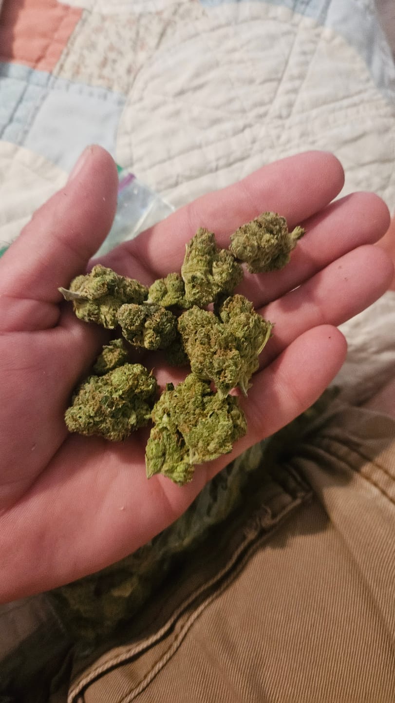 Customer photo review of Fire OG - Bulk - Indica