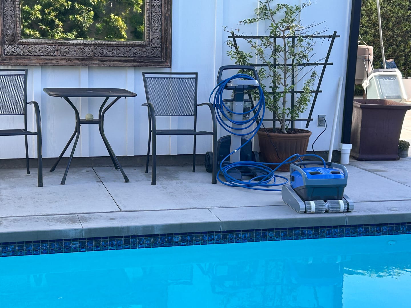 Customer photo review of Dolphin M600 Robotic Pool Cleaner - Enhanced Warranty