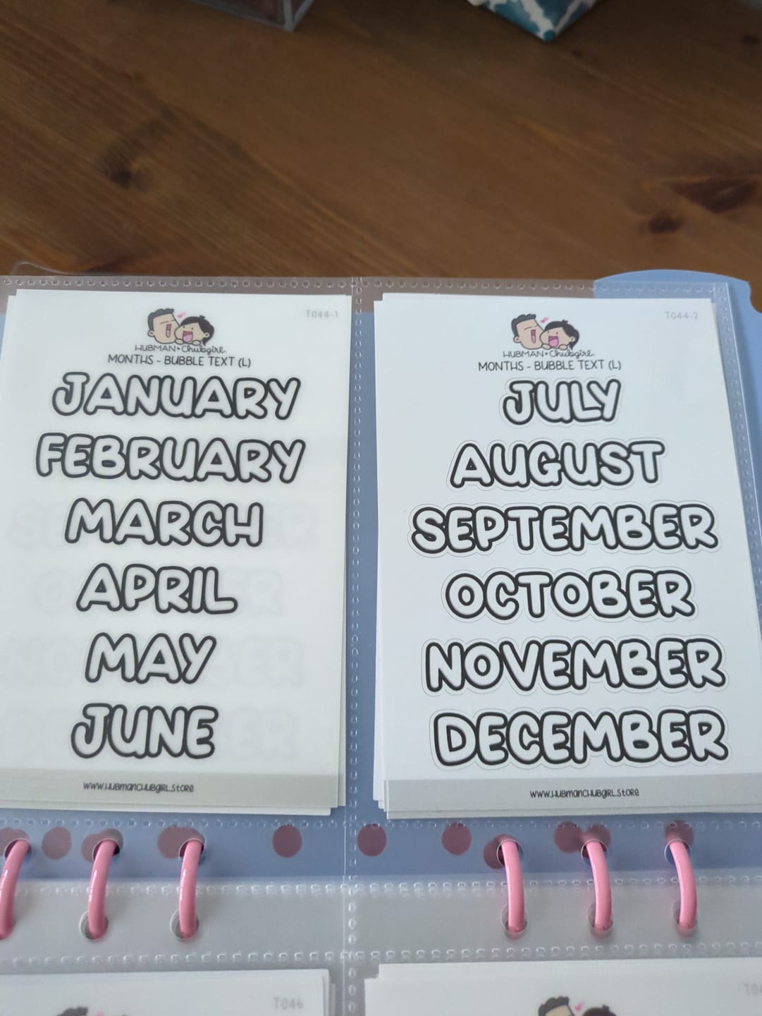 Customer photo review of Months (L) - Text Planner Stickers Set of 2 (Bubble Font)