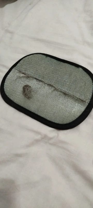 Customer photo review of FurFree™ Reusable Pet Hair Remover