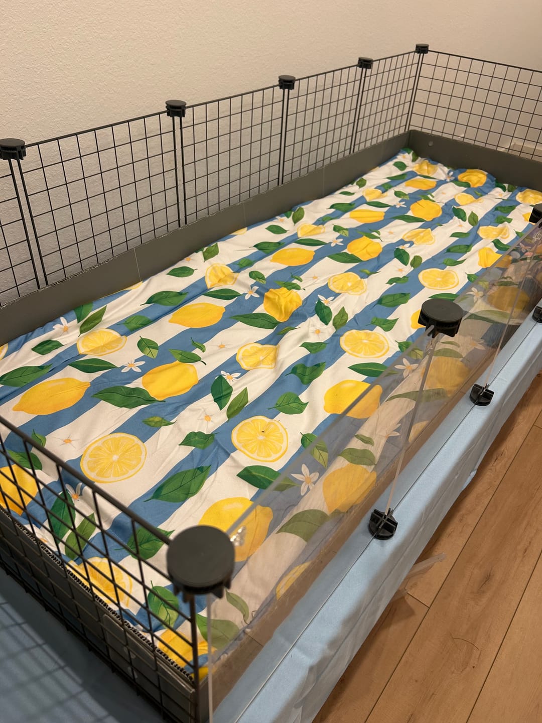 Customer photo review of Plush Fleece Liner for Guinea Pigs | Lemon Amalfi Collection