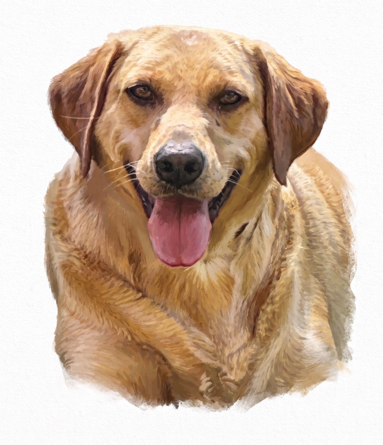 Customer photo review of 6 Inch Standard Bully Stick