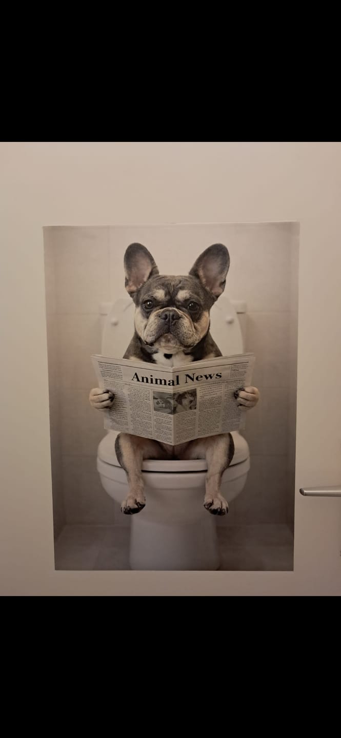 Customer photo review of Personalisiertes Poster - Badezimmer