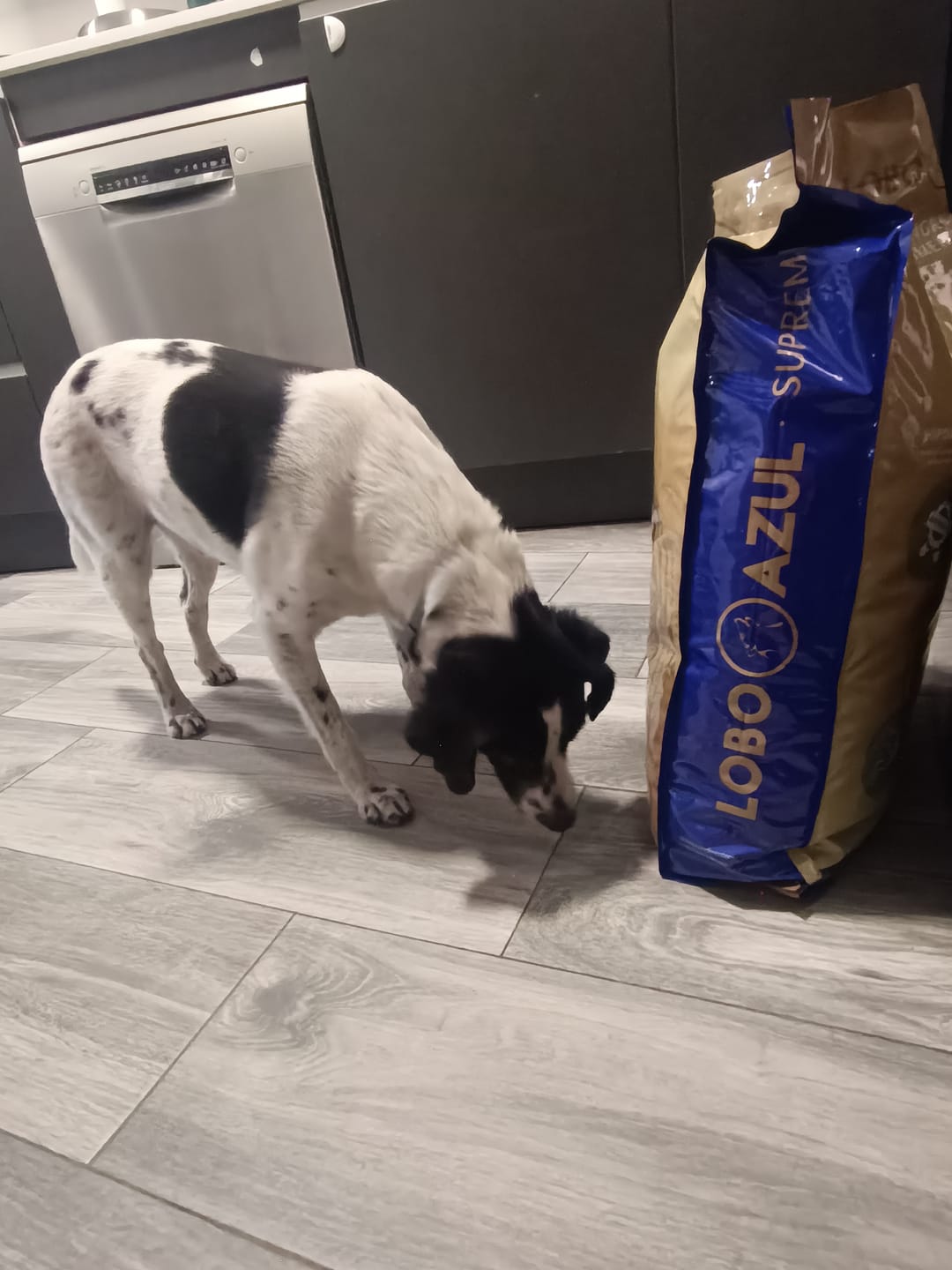 Customer photo review of Grain Free Adult Chicken & Turkey