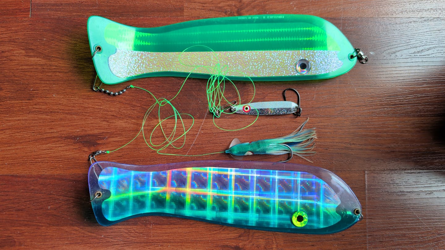 Customer photo review of Kingfisher II