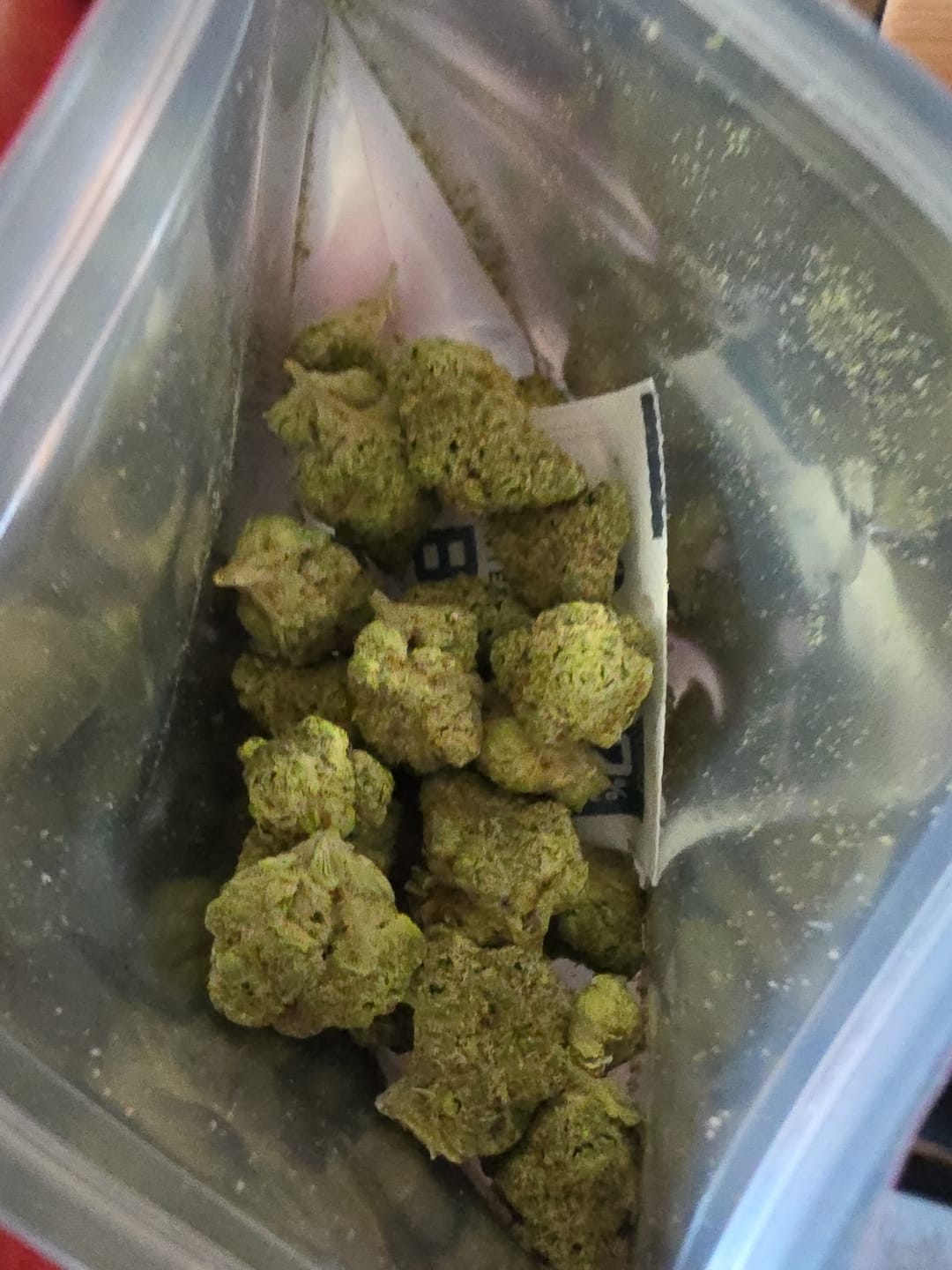 Customer photo review of Sunrise to Sunset Exotic Smalls Bundle