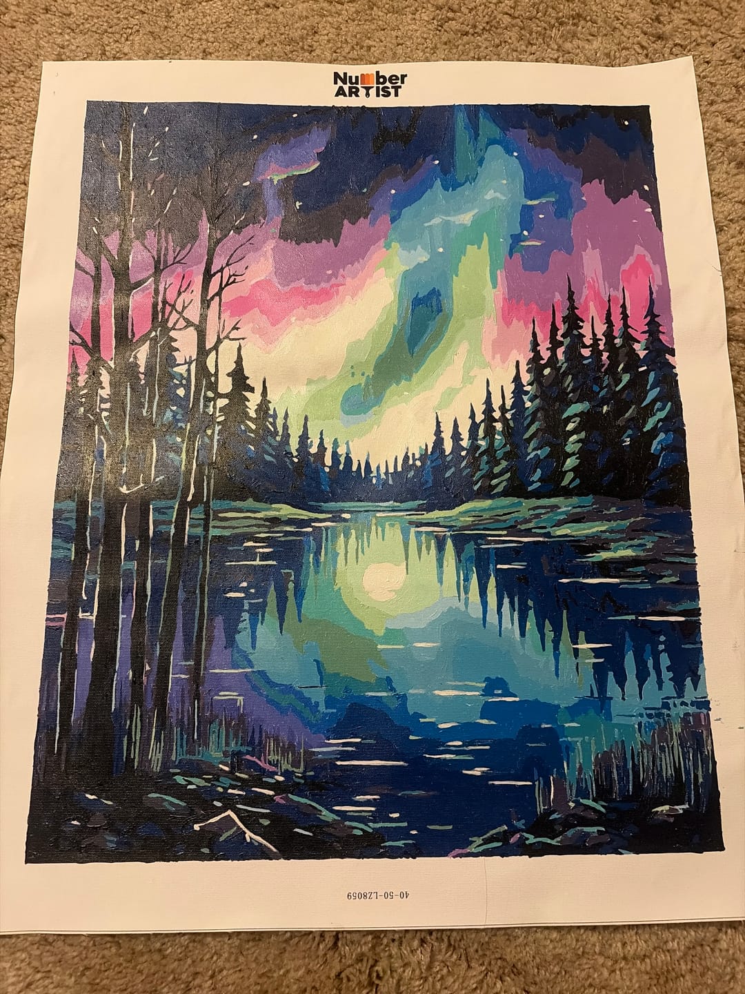 Customer photo review of Aurora Lake Silence