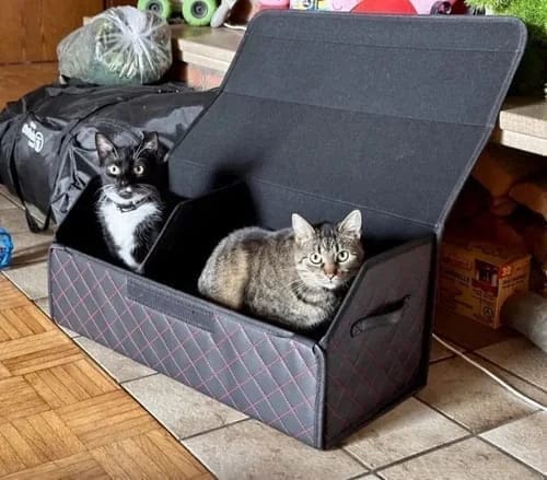 Customer photo review of KOFFERRAUMBOX - Flex
