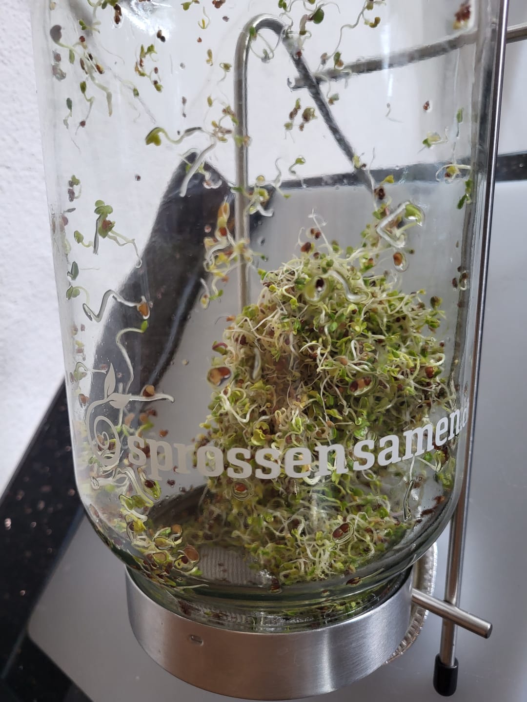 Customer photo review of Brokkoli Sprossen Bio 250g
