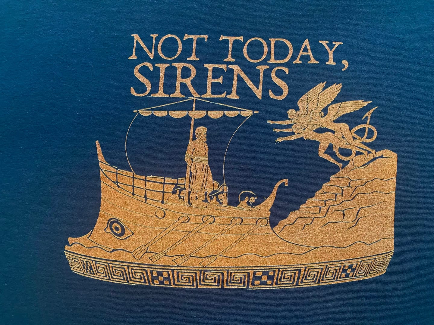 Customer photo review of Not Today Sirens T-Shirt