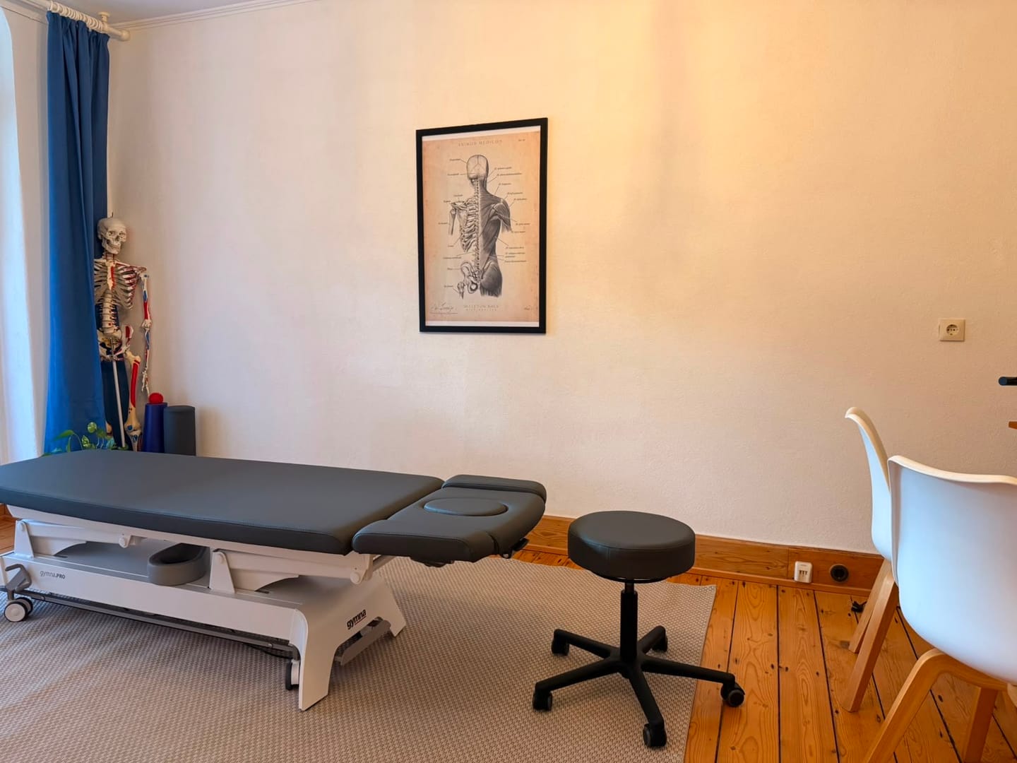 Customer photo review of Rücken Anatomie | Knochen und Muskeln