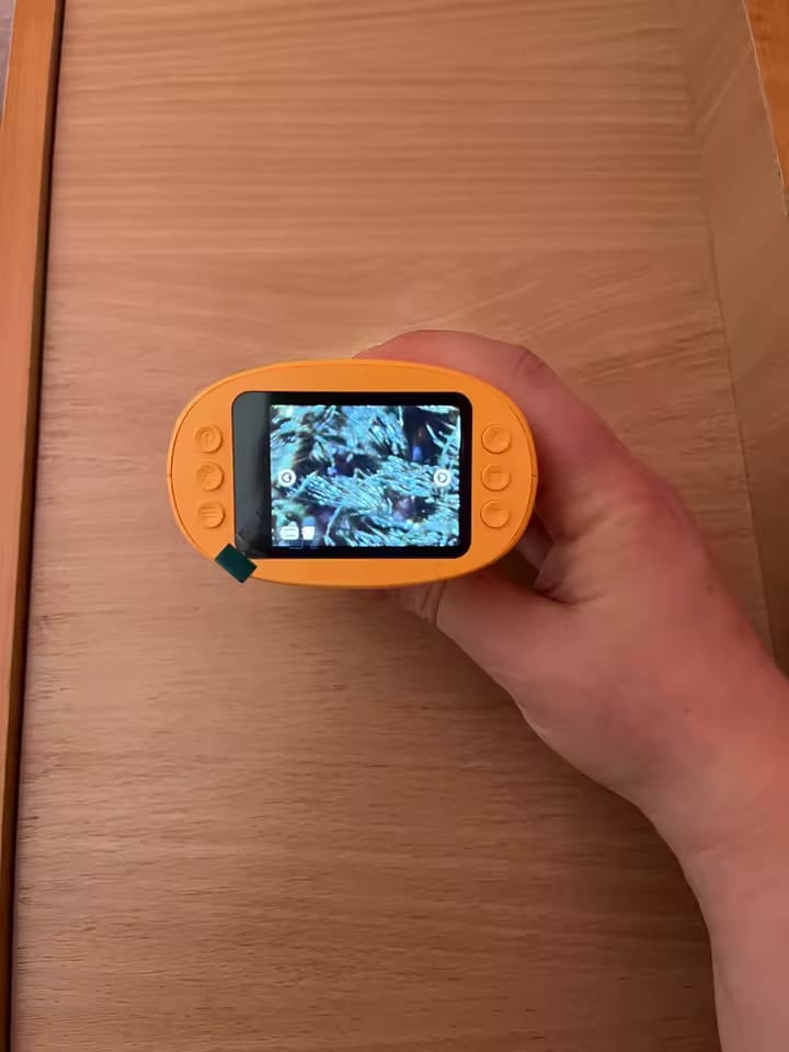 Customer photo review of DiscoveryScope™ – Kids Microscope Learning Kit