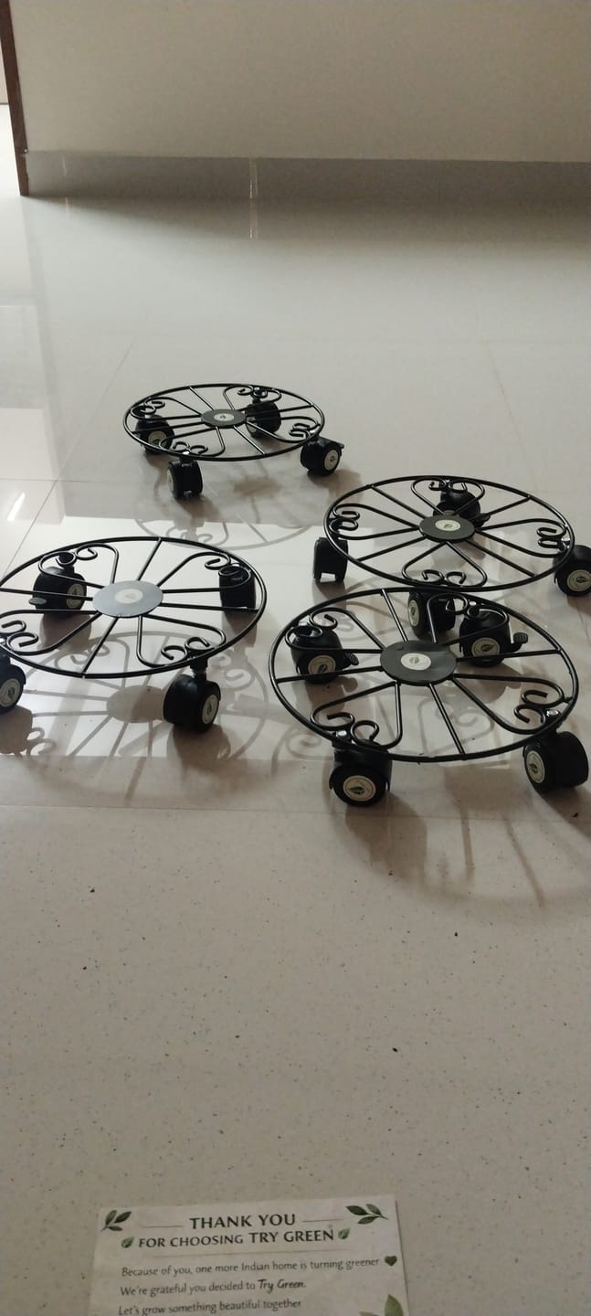 Customer photo review of TryGreen Luna Wheel Rolling Plant Stand for Planters