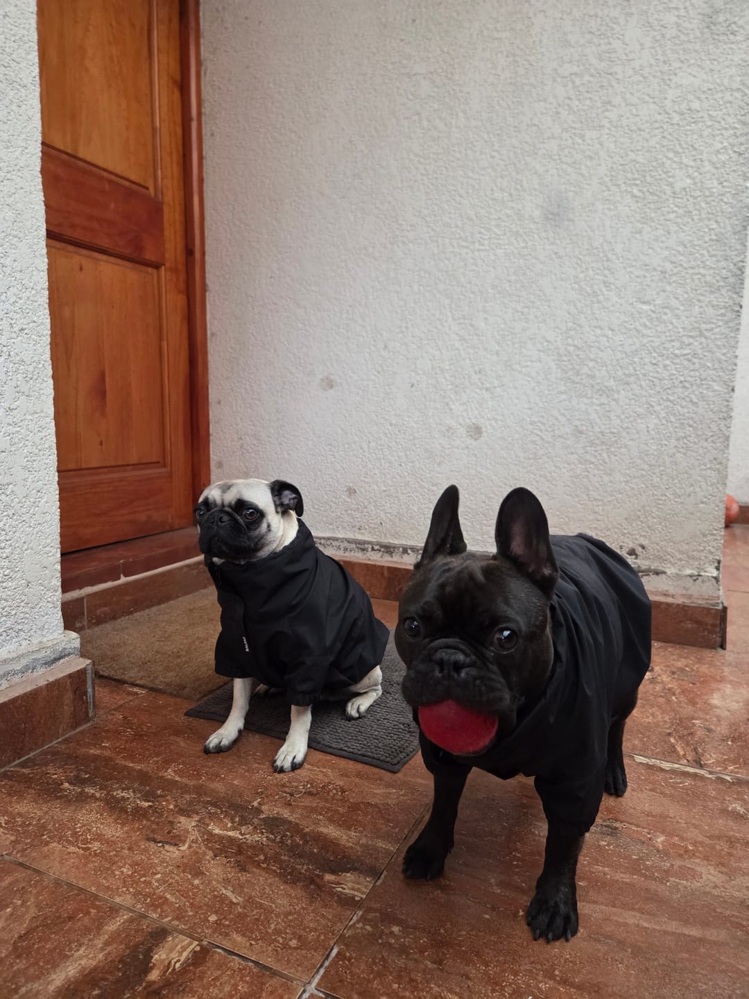 Customer photo review of Chaqueta Impermeable de Lluvia - Negro