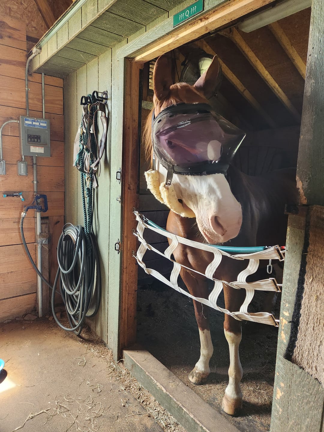 Customer photo review of Recovery Vizor - Dark UV Tint