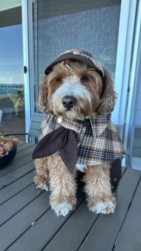 Customer photo review of Sherlock Warm Plaid Jacket --Brown/Beige