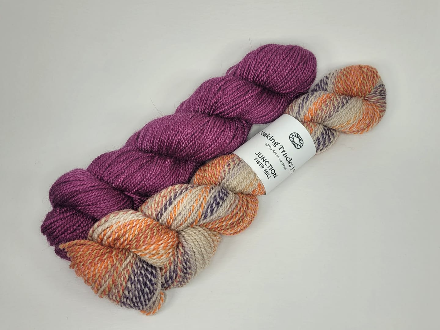 Customer photo review of Making Tracks Lite: Day's End