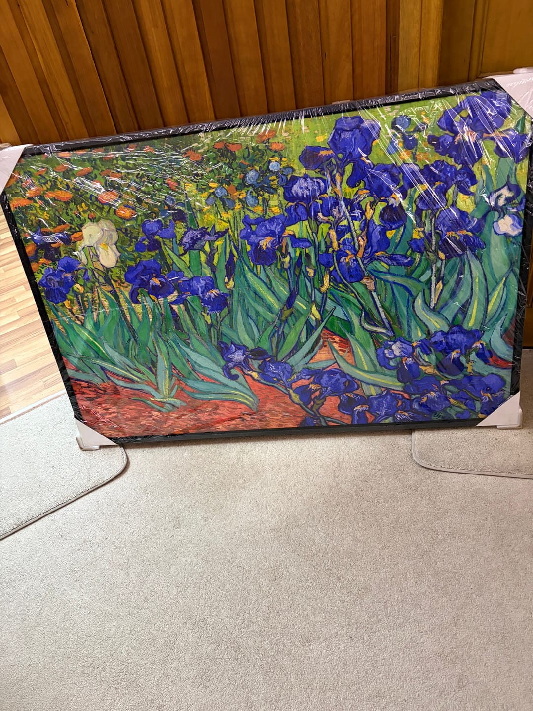 Customer photo review of Irises 2 by Van Gogh Canvas Art