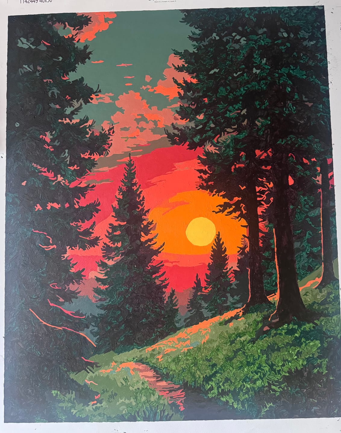 Customer photo review of Sunset in Alpine Forest | Paint by Number