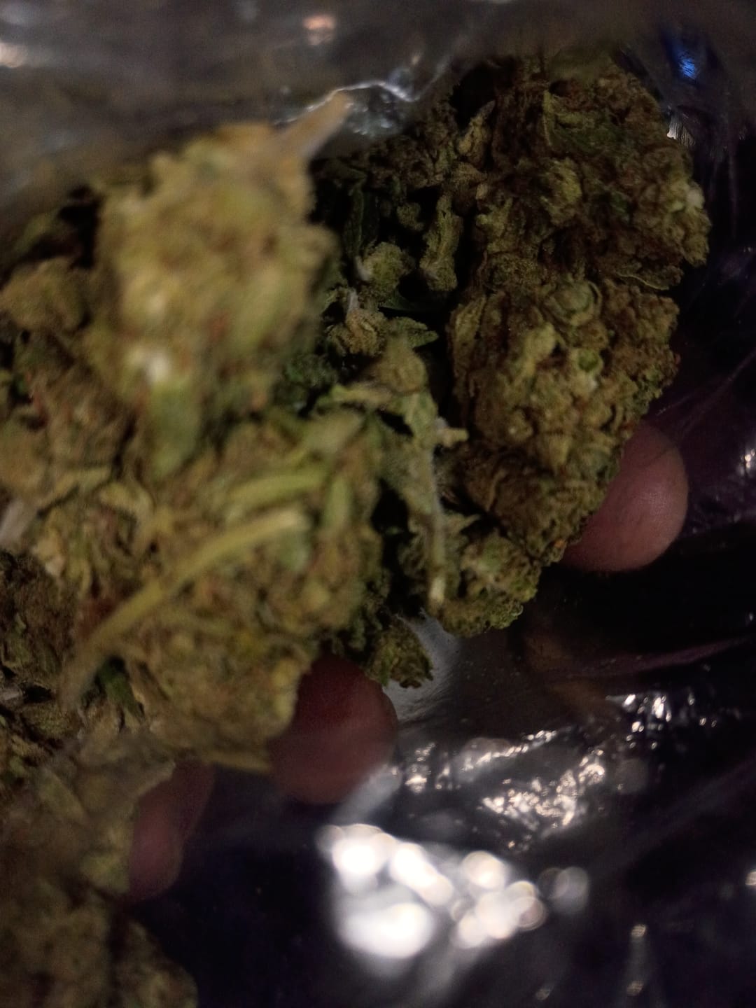 Customer photo review of Fire OG - Bulk - Indica