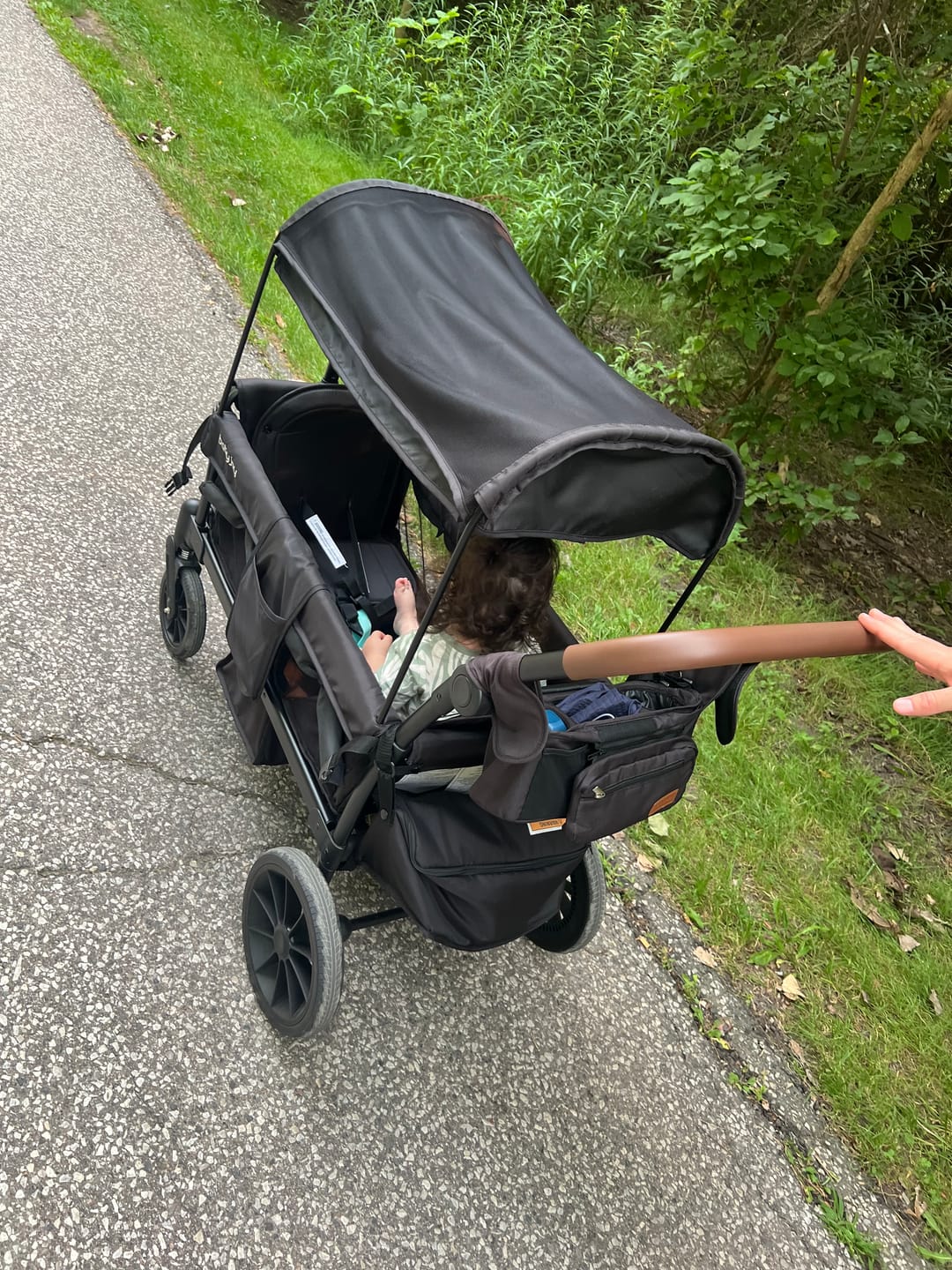 Customer photo review of Foldable 2-Seater Wagon Stroller with Removable Canopy