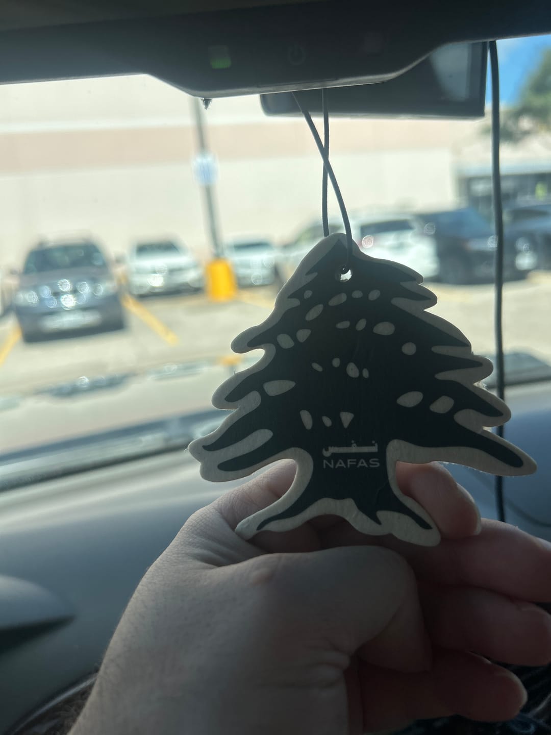 Customer photo review of Glow-in-the-Dark Keychain