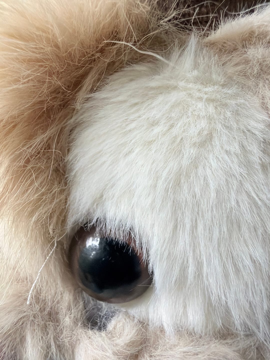 Customer photo review of Snuggy™ Running Plushie