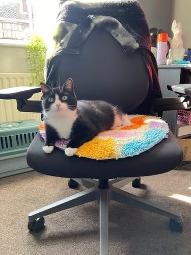 Customer photo review of BOTANIC BRIGHTS - Rug Making Kit