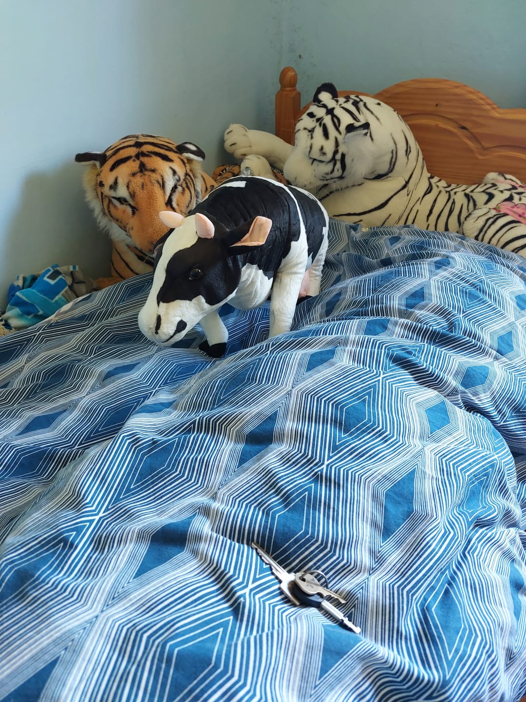Customer photo review of Dairy Cow Soft Stuffed Plush Toy
