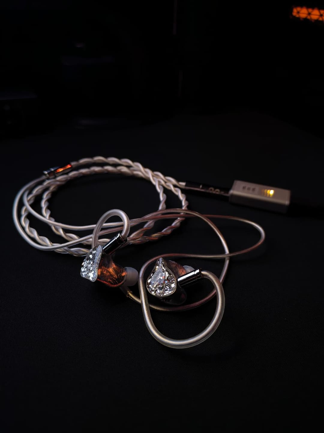 Customer photo review of EarAcoustic Audio VSA-MAX IEM Kulaklık