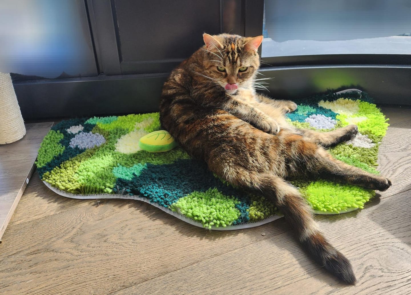 Customer photo review of MOSSY CAVERN - XL Mirror Rug Making Kit
